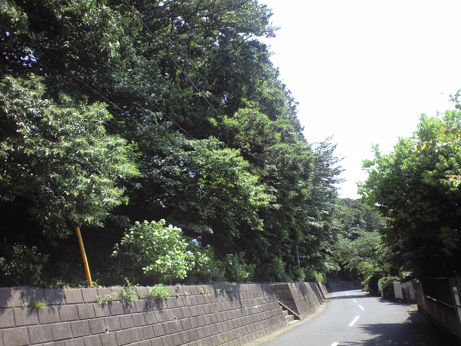 a0152078_17342275.jpg