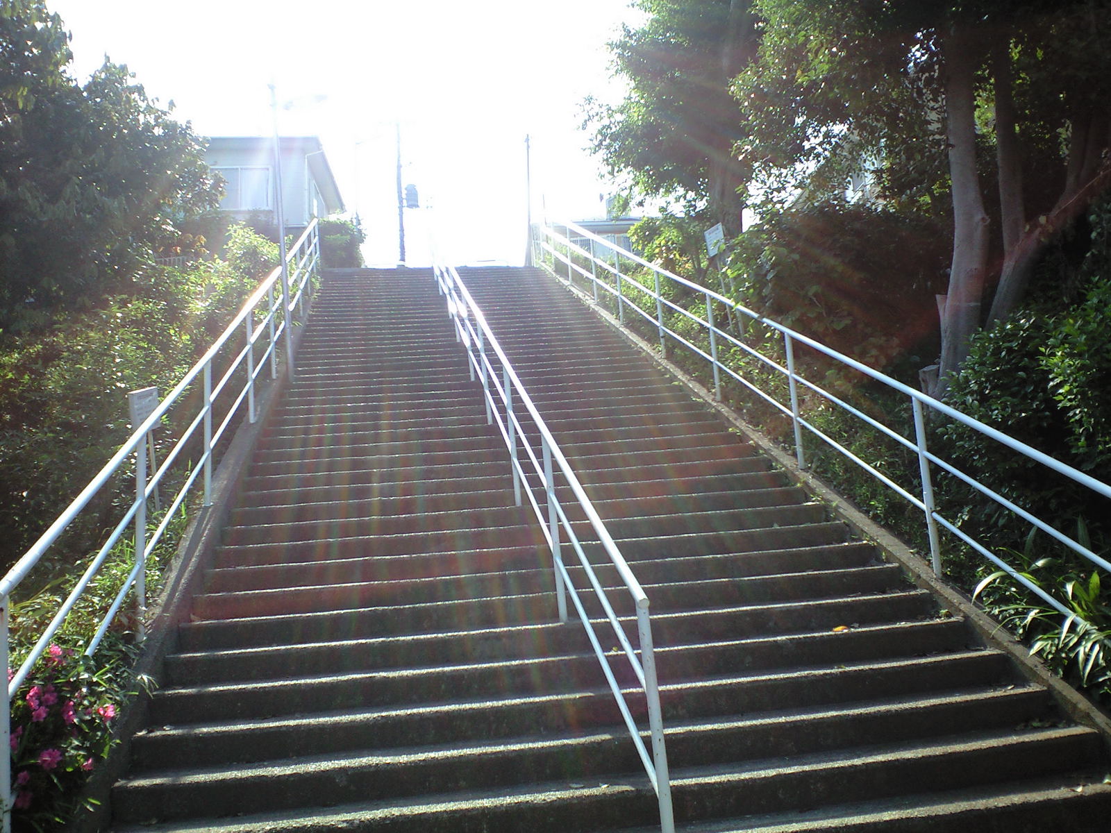 a0152078_1735228.jpg