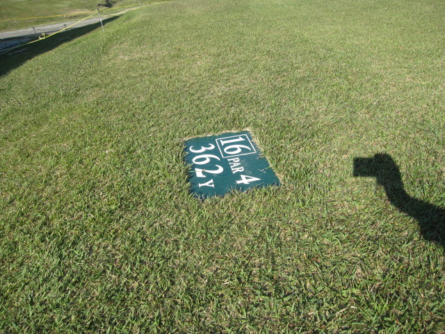 b0134278_1426623.jpg