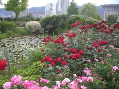 f0116278_20444881.jpg