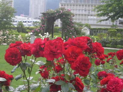 f0116278_2046244.jpg