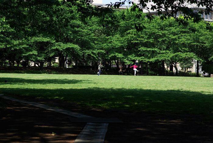 b0120979_7293672.jpg