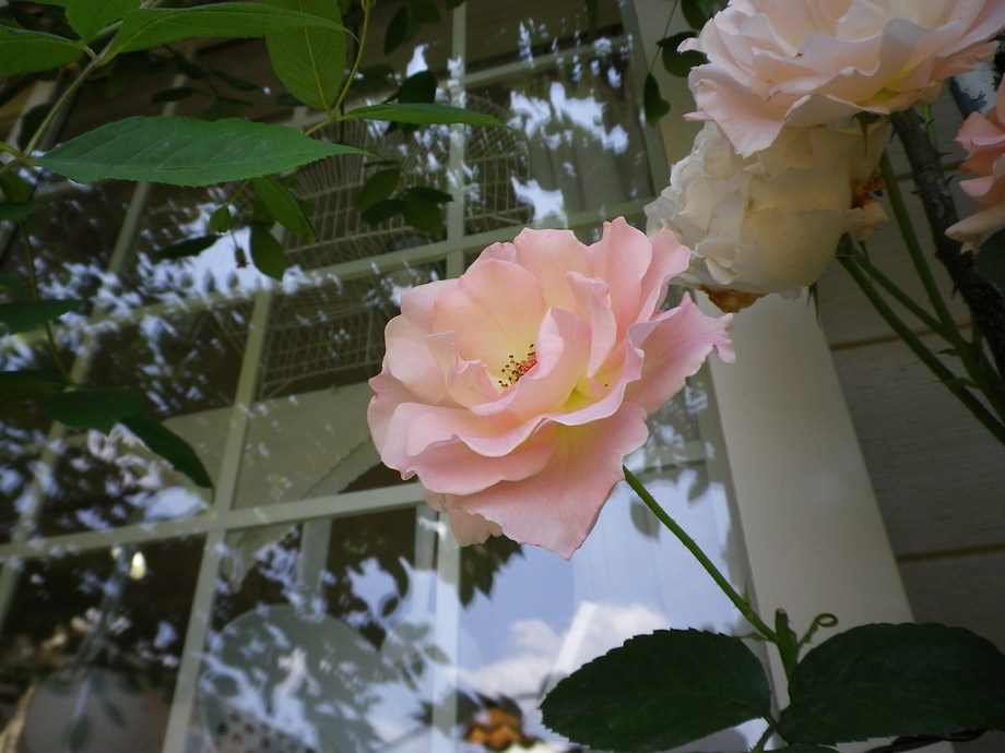 f0178381_19101369.jpg