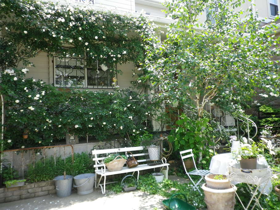 f0178381_199419.jpg