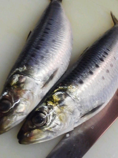 f0085291_18155171.jpg