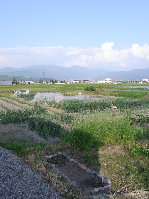 e0159392_21542639.jpg
