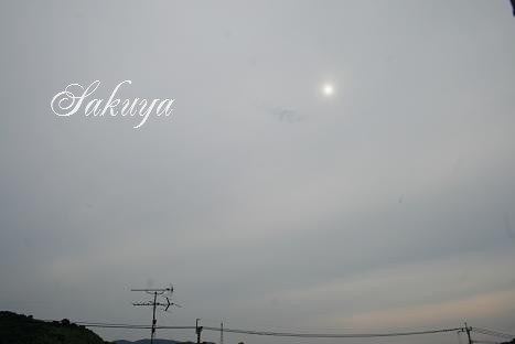 e0122194_178079.jpg