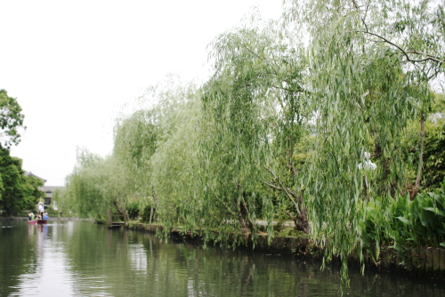 c0129498_13121393.jpg