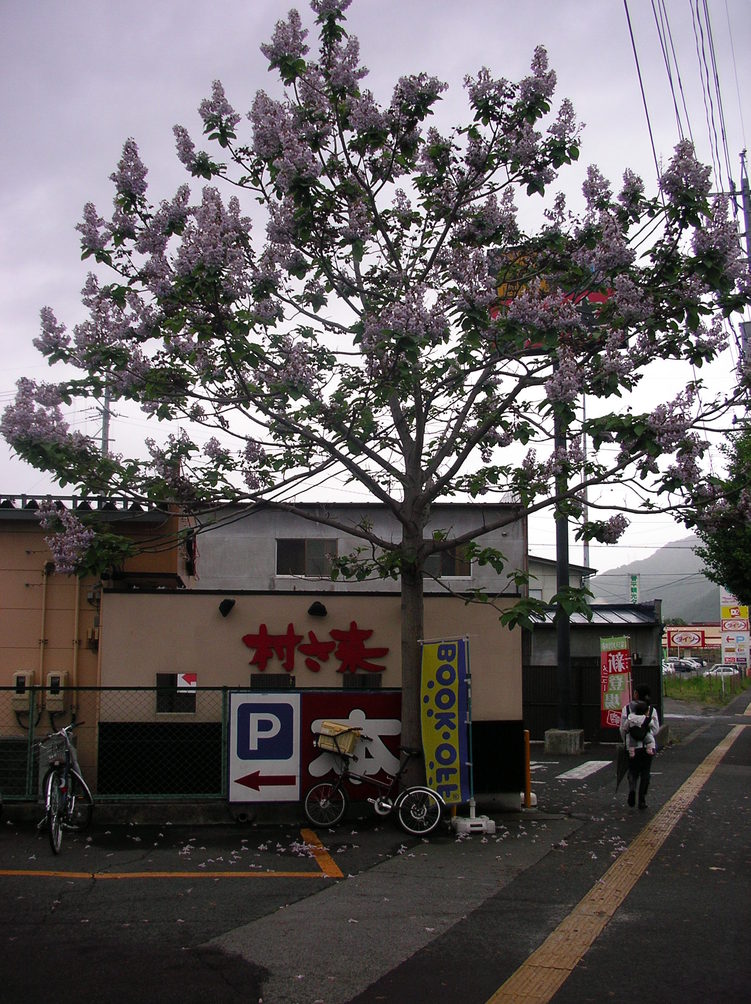 f0220698_2142944.jpg