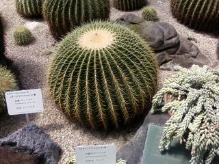 e0010302_17374610.jpg