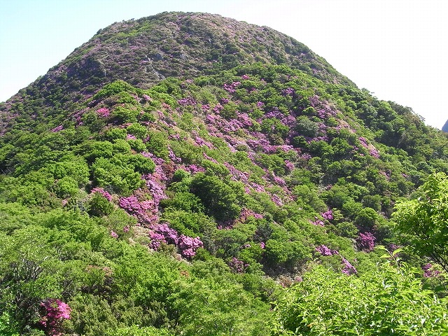 f0187402_19583020.jpg