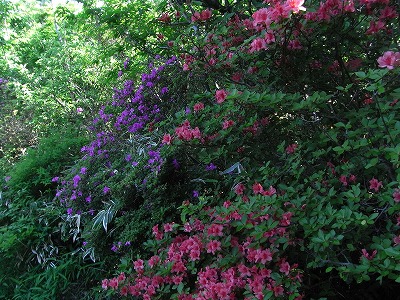 f0187402_1959110.jpg