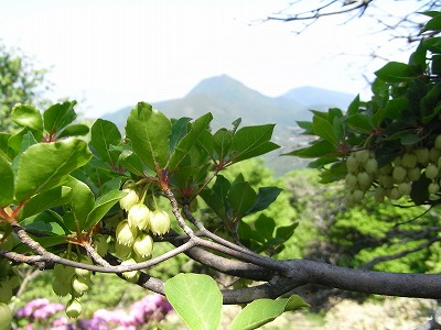 f0187402_20078.jpg