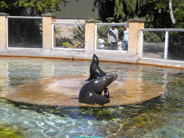e0160905_2374573.jpg