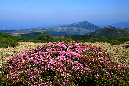 b0014607_22405999.jpg