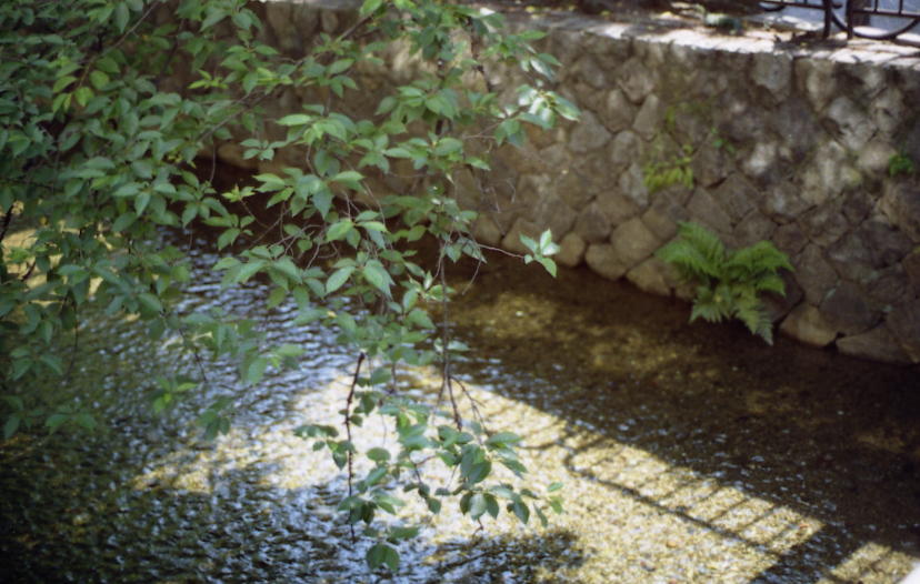 d0071507_22395515.jpg