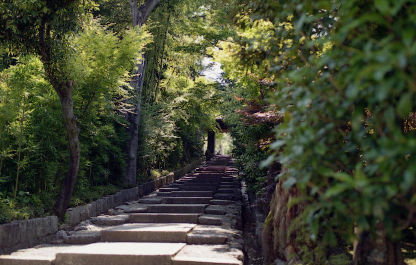 d0071507_22401734.jpg