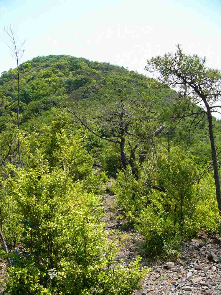 c0062511_20282444.jpg