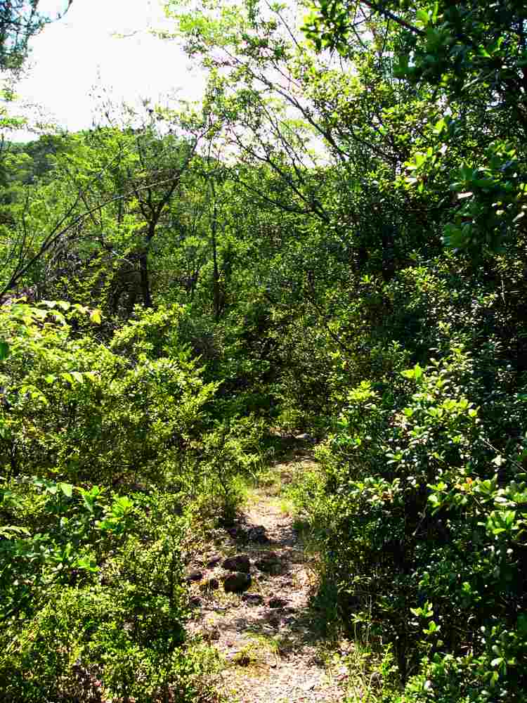 c0062511_20283831.jpg