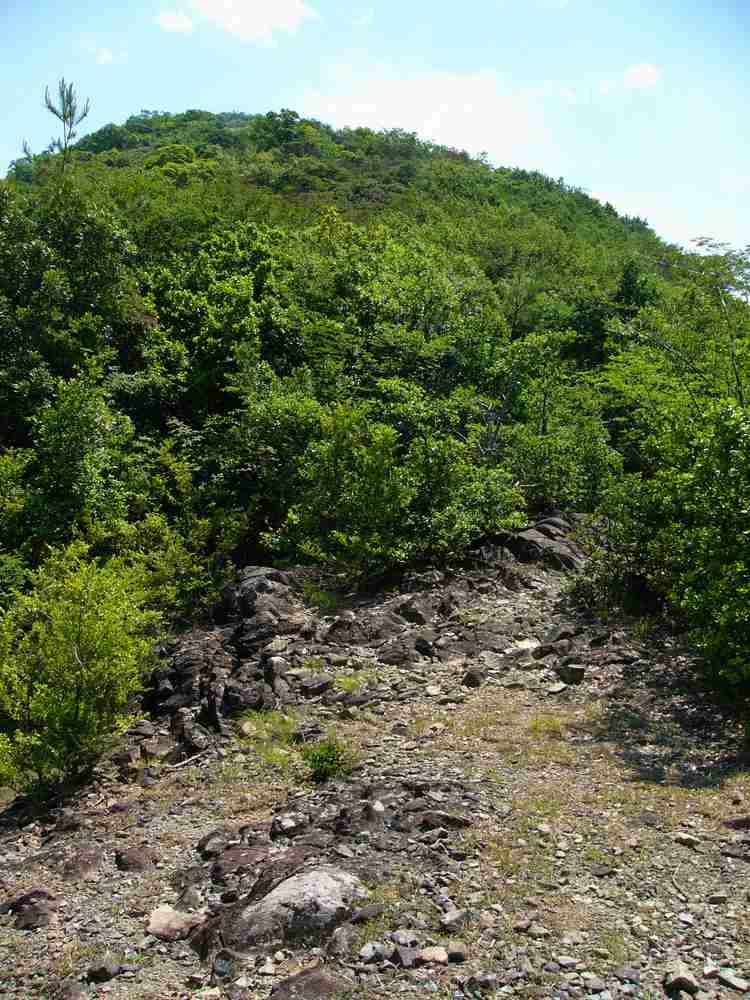 c0062511_20284847.jpg