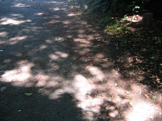 c0219815_22472288.jpg