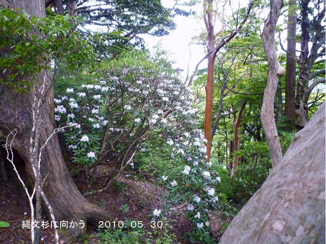d0170615_19554812.jpg