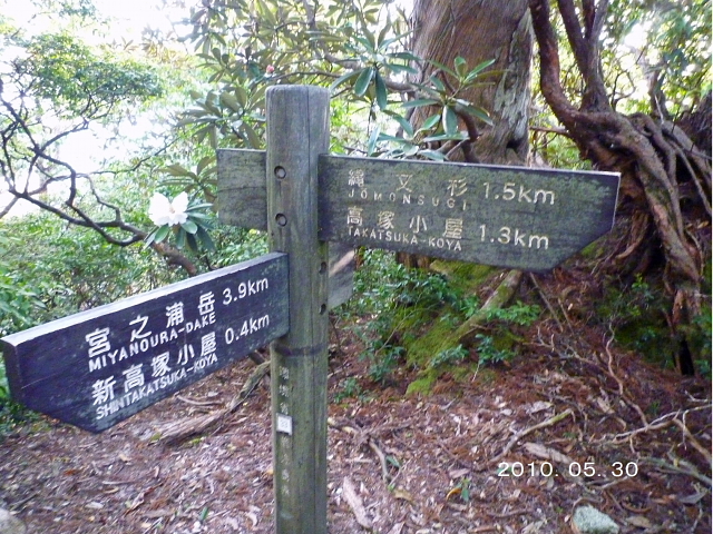 d0170615_1955924.jpg