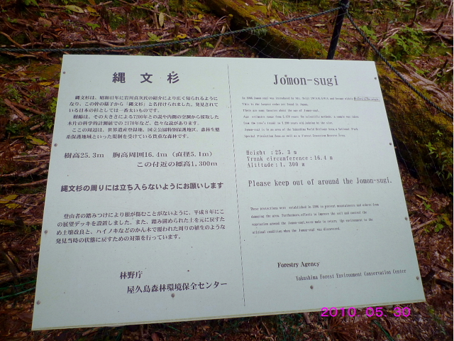 d0170615_19561192.jpg