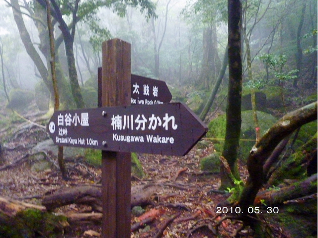 d0170615_1957577.jpg
