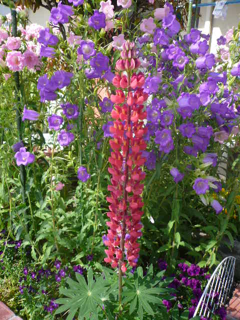 e0026017_12552871.jpg