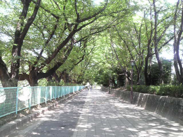 c0225420_22101676.jpg
