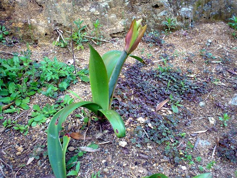c0007822_953522.jpg