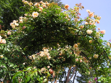 f0128723_22385599.jpg