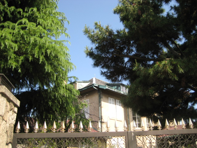 d0147727_771856.jpg