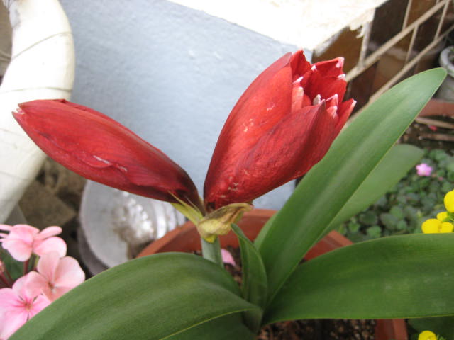 e0166032_16594053.jpg