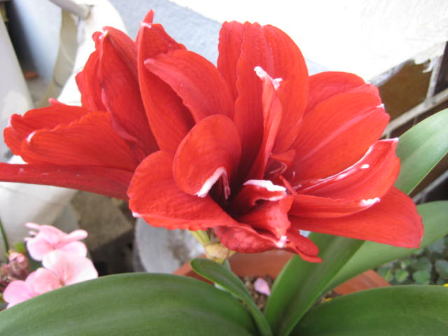 e0166032_1721553.jpg