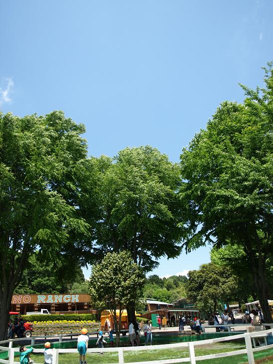 f0005334_8235024.jpg