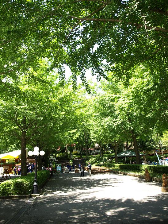 f0005334_825051.jpg