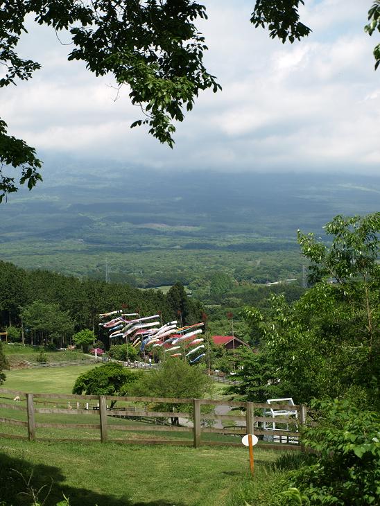 f0005334_8405291.jpg