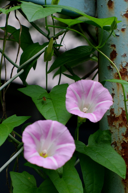 c0228937_12284482.jpg