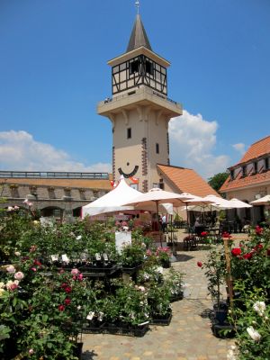 b0178339_214755.jpg