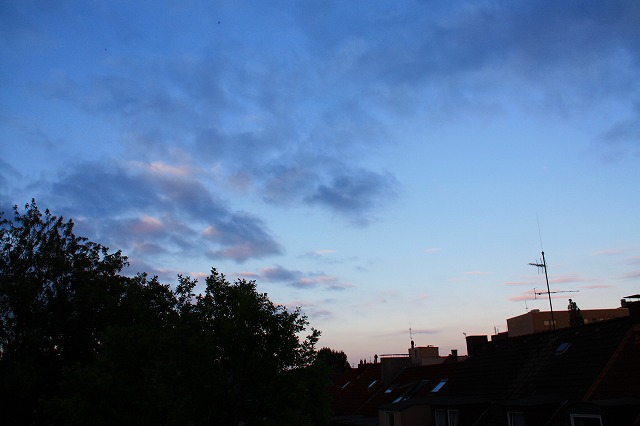 c0153740_4503937.jpg