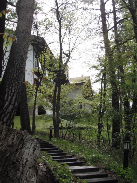 c0190847_18311744.jpg