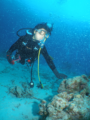 d0065247_2028086.jpg