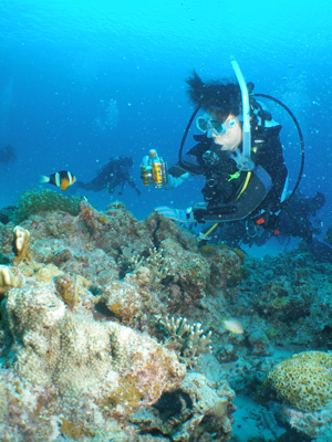 d0065247_202894.jpg
