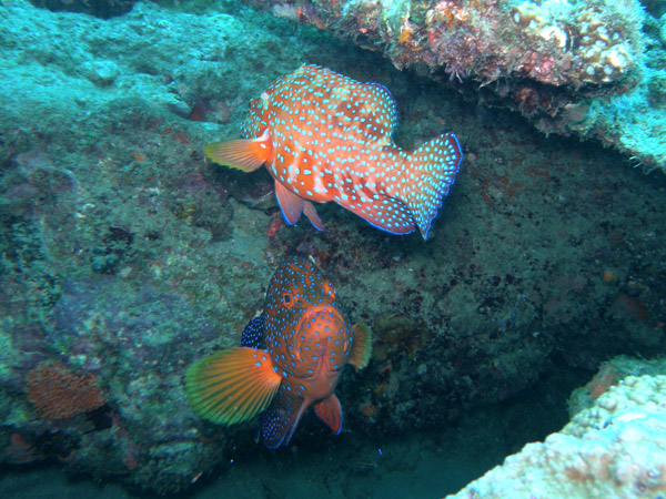 b0062363_17474495.jpg