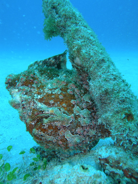 b0062363_17485528.jpg