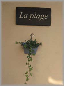 c0120363_1741382.jpg