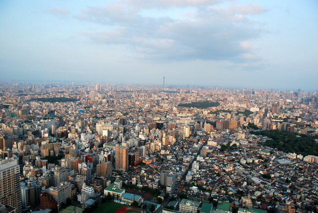 b0174068_23463395.jpg