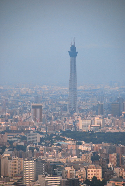 b0174068_23464979.jpg